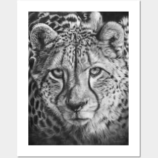 African Cheetah Posters and Art